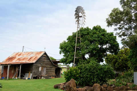 Tinaberries - New South Wales Tourism  1