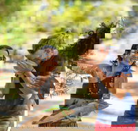 Tjapukai Aboriginal Cultural Park - New South Wales Tourism 