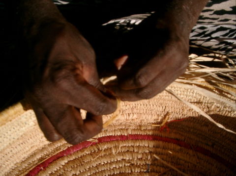 Tjanpi Desert Weavers - New South Wales Tourism  1