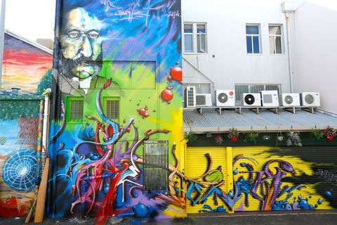 Townsville Street Art - New South Wales Tourism  2