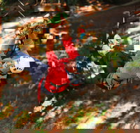 Trees Adventure - Glen Harrow Park - New South Wales Tourism 