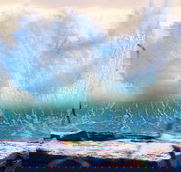 Tugun - New South Wales Tourism 