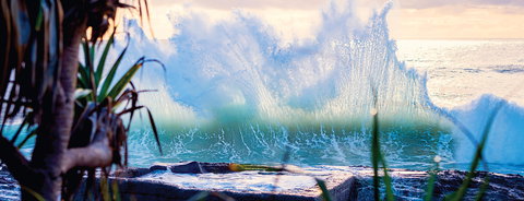 Tugun - New South Wales Tourism  0