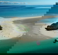 Turtle Discovery - New South Wales Tourism 