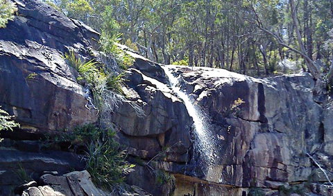 Ugly Corner Falls Walking Track - New South Wales Tourism  0