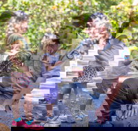 Walkabout Creek Discovery Centre - New South Wales Tourism 