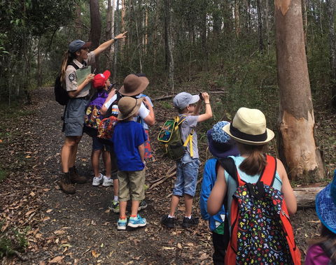Walkabout Creek Discovery Centre - New South Wales Tourism  1
