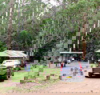 Wallingat Forest Drive - New South Wales Tourism 
