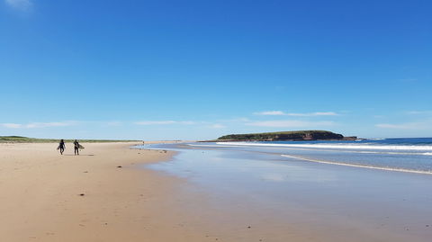 Warilla - New South Wales Tourism  0