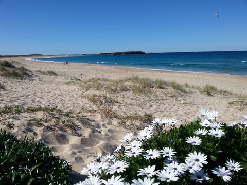 Warilla - New South Wales Tourism  1