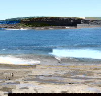 Wasp Head Picnic Area - New South Wales Tourism 