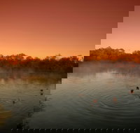 Witjira National Park - New South Wales Tourism 