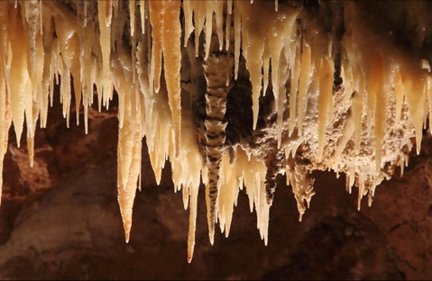 Wollondilly Cave - New South Wales Tourism  0