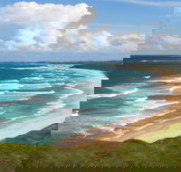 Woolgoolga Beach and Headland - New South Wales Tourism 