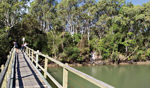 Woolgoolga Lake - New South Wales Tourism  0