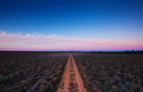 Yanga National Park - New South Wales Tourism  0