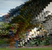 Aboriginal Heritage Walk - New South Wales Tourism 