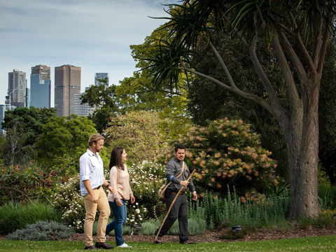 Aboriginal Heritage Walk - New South Wales Tourism  0