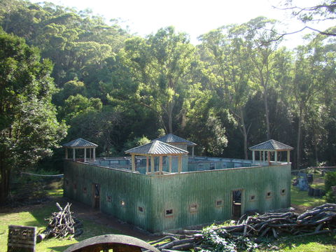 Alpha Paintball - New South Wales Tourism  0