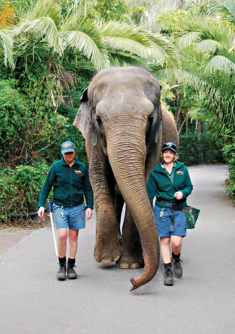Animals And Family Fun - New South Wales Tourism  2