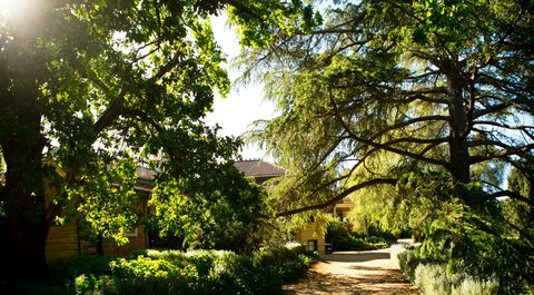 Anlaby - New South Wales Tourism  1