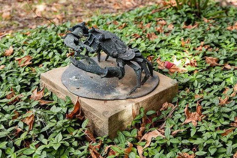 Antony Symons - Retrospective Of A Life's Work - New South Wales Tourism  0