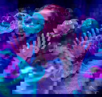 Australia's Sea World - New South Wales Tourism 