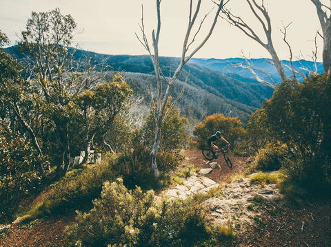Australian Alpine Epic Mountain Bike Trail - New South Wales Tourism  1