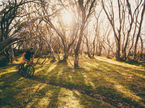 Australian Alpine Epic Mountain Bike Trail - New South Wales Tourism  2