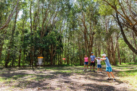 Ballina Disc Golf - New South Wales Tourism  0