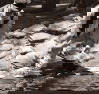 Bathurst Goldfields Education and Function Centre - New South Wales Tourism 