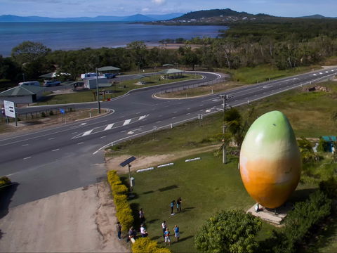 Big Mango - New South Wales Tourism  1