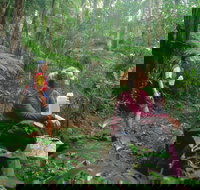 Binna Burra Lamington National Park - New South Wales Tourism 