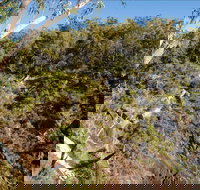 Boonoo Boonoo Falls picnic area - New South Wales Tourism 