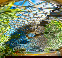 Brisbane Botanic Gardens Mount Coot-tha - New South Wales Tourism 