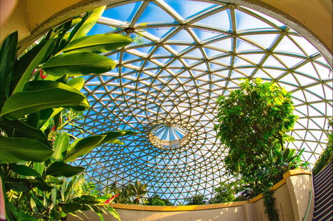 Brisbane Botanic Gardens Mount Coot-tha - New South Wales Tourism  0
