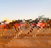 Broken Hill Camels - New South Wales Tourism 