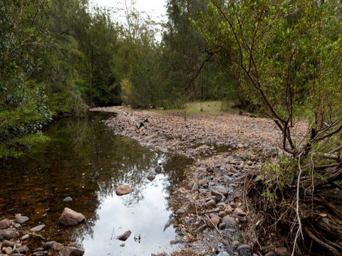 Budawang National Park - New South Wales Tourism  0