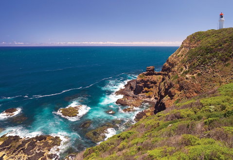 Bushrangers Bay Walking Track - New South Wales Tourism  0