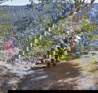 Caves circuit Lamington National Park - New South Wales Tourism 