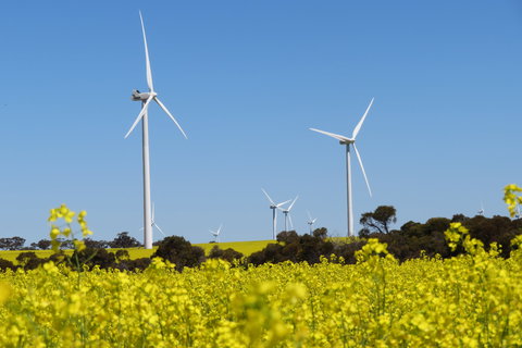 Collgar Wind Farm Merredin - New South Wales Tourism  1