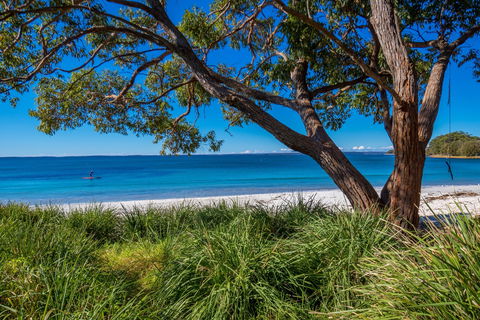 Collingwood Beach - New South Wales Tourism  0