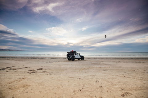 Coorong National Park - New South Wales Tourism  0