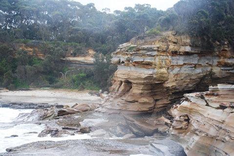 Cookies Beach Picnic Area - South Durras - New South Wales Tourism  2