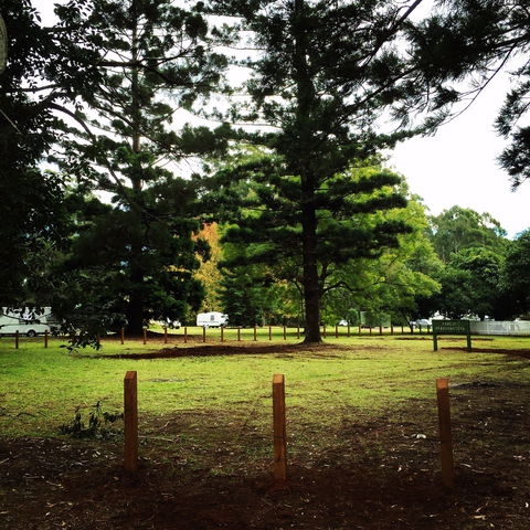 Coopernook Forest HQ - New South Wales Tourism  2
