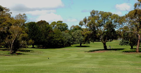 Cooma Golf Club - New South Wales Tourism  0