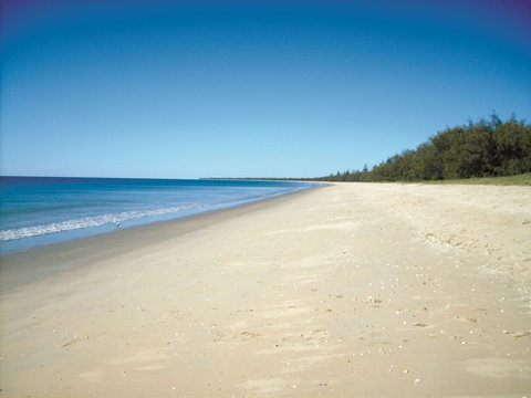 Coral Coast Pathways (Woodgate Beach Section) - New South Wales Tourism  0