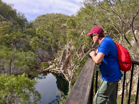 Crows Nest Falls - New South Wales Tourism  1