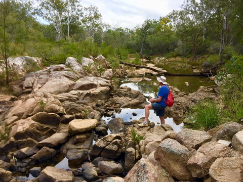 Crows Nest Falls - New South Wales Tourism  2