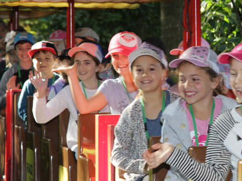 Currumbin Wildlife Sanctuary - New South Wales Tourism  1